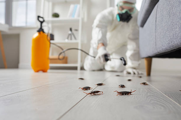 Trusted Cockroach Control service in Lawai, HI - Nex Pest Control