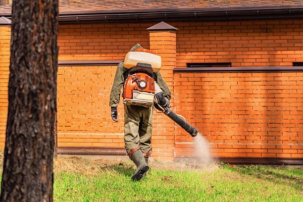 Trusted Bed Bug Control service in Lawai, HI - Nex Pest Control